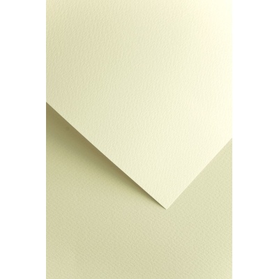 Galeria Papieru ozdobný papír Sawanna ivory 200g 20ks
