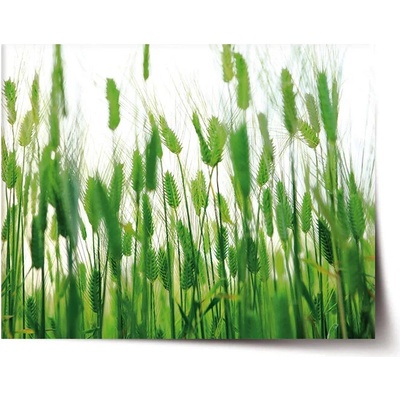 Sablio Plagát Klasy - 60x40 cm