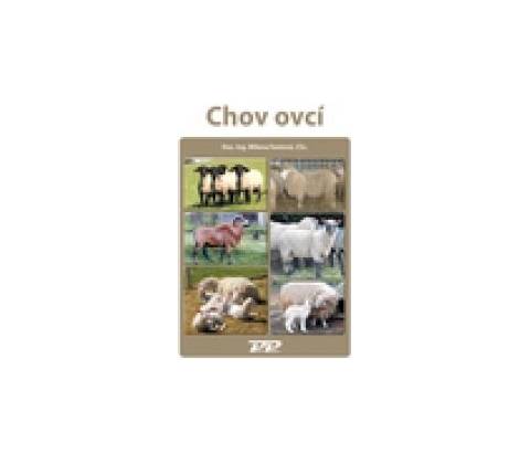 Chov ovcí