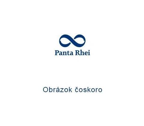 Světlo pulsaru
