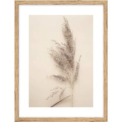 knor Grass obraz béžová