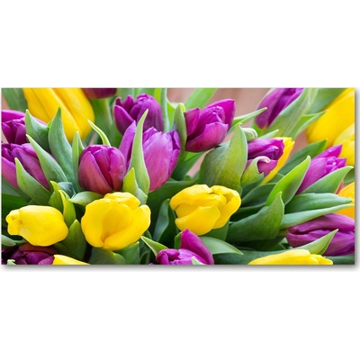 Foto obraz sklo tvrzené farebné tulipány 100x50 cm