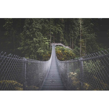 DIMEX ART s. r. o Флизелинов фототапет остров ванкувър 375 x 250 см