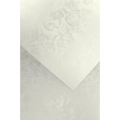 Galeria Papieru ozdobný papír Listy ivory 250g 20ks
