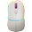 CANYON MW-22 (CNS-CMSW22RC)
