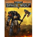 Warhammer 40 000: Space Wolf