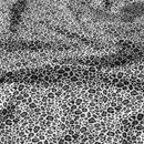 Bavlnená látka vzor leopard šedý, metráž 160 cm