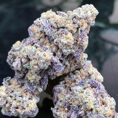 Growers Choice Blue Zushi semena neobsahují THC 5 ks