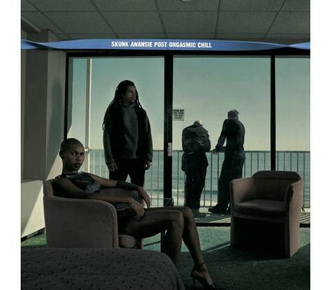 Skunk Anansie - Post Orgasmic Chill 2 CD