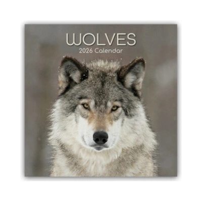 Wolves Wölfe 16-Monats 2026
