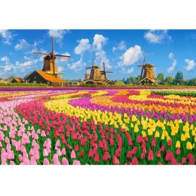 Castorland - Puzzle Dutch Windmills Among Tulips - 1 000 piese