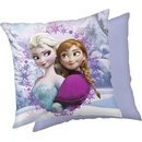 Jerry Fabrics Mikroplyšový vankúš Ľadové Kráľovstvo Frame Polyester 40x40