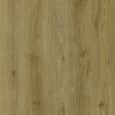 Republic Grizzly G004 Epic 2,22 m²