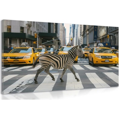 Obraz zebra v New Yorku - 40x30