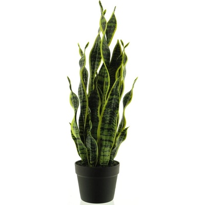 Sansevieria v květináči zlutá/zelená V71 cm