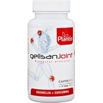 Artesania Agricola Gelisan Joint [60 капсули]
