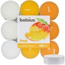 Bolsius Aromatic Mango 18 ks