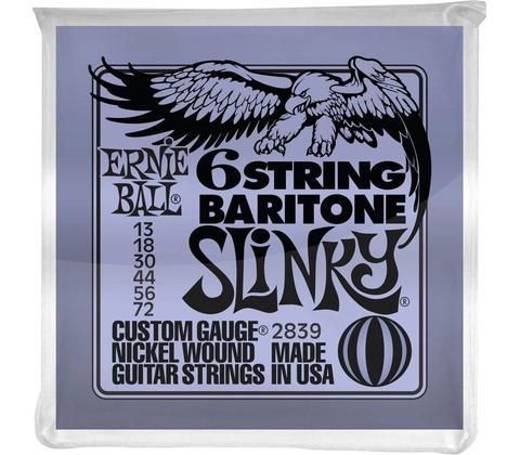 Ernie Ball 2839