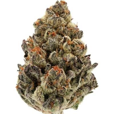 Growers Choice Bruce Banner AUTO semena neobsahují THC 5 ks