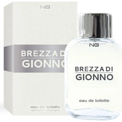 NG perfumes Brezza Di Gionno toaletní voda pánská 100 ml