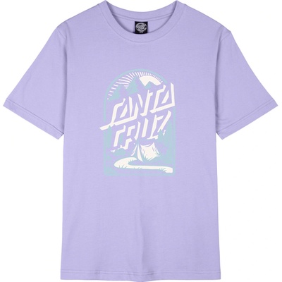 Santa Cruz Camp Retreat Front lavender