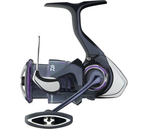 Daiwa 25 Prorex V LT 2000
