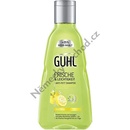 Guhl Frische šampon pro rychle se mastící vlasy 250 ml
