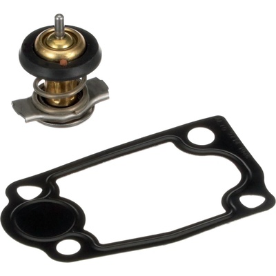 Termostat, chladivo GATES TH63879G1