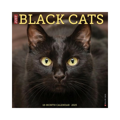 Black Cats 12 X 12 Wall 2026