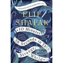 10 Minutes 38 Seconds in this Strange World - Elif Shafak