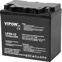 Vipow 12V 55Ah