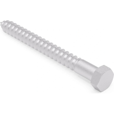 Lexan Vrut 6x60 Zn – Hledejceny.cz