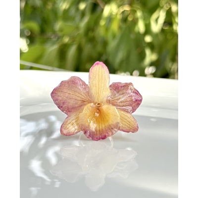 Meganflo Пръстен триизмерна орхидея СРЕБРО