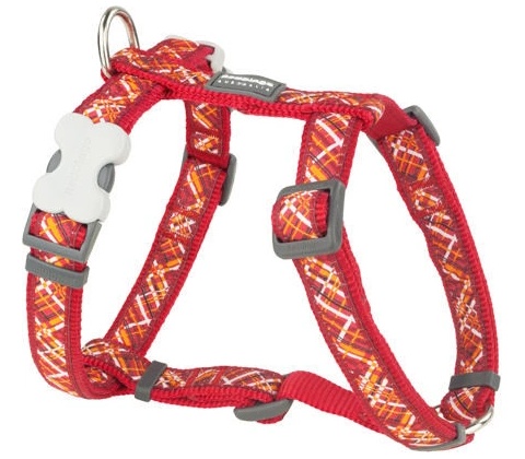 Red Dingo postroj Flanno