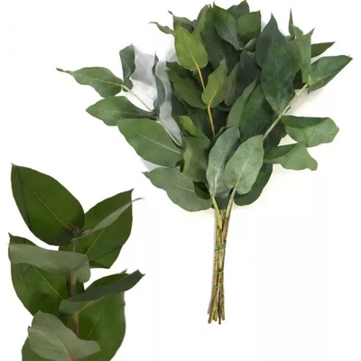 Eukalyptus ROBUSTA 200g
