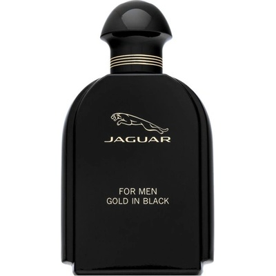Jaguar Gold In Black toaletní voda pánská 100 ml