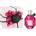 Viktor & Rolf Flowerbomb Ruby Orchid EDP 100 ml