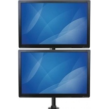 StarTech ARMDUALV