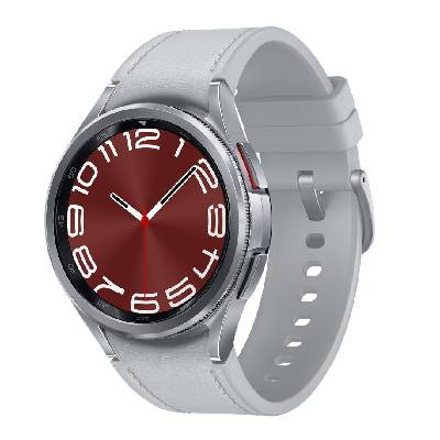 Samsung Galaxy Watch6 Classic 43mm SM-R950 Silver