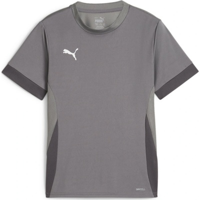 Puma teamGOAL Matchday Jersey jr šedá