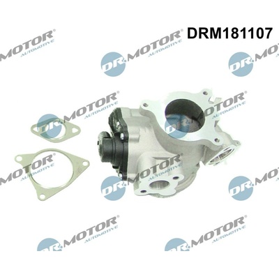 AGR - Ventil Dr.Motor Automotive DRM181107