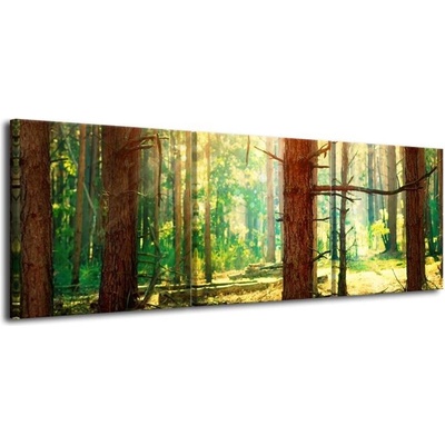 Obraz na plátně-Stromy plátno 1 100x40