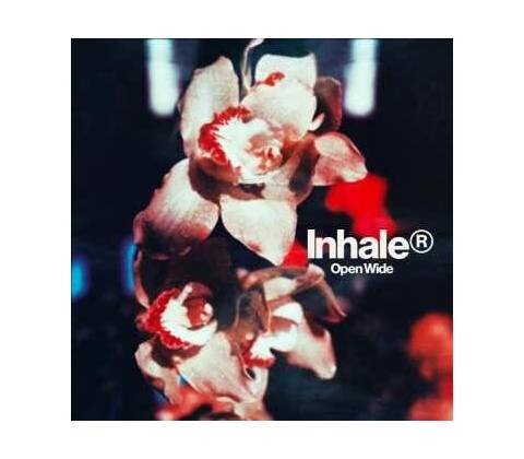 Inhaler - Open Wide LP