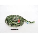 Dubi Green coiled hose 150cm