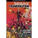 Černá palice 3: Sherlock Frankenstein a Legie zla - Jeff Lemire, David Rubín
