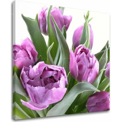 Obraz na stenu KVETY - 30x30