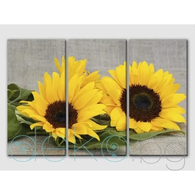 Слънчогледи - 3 части (30070)