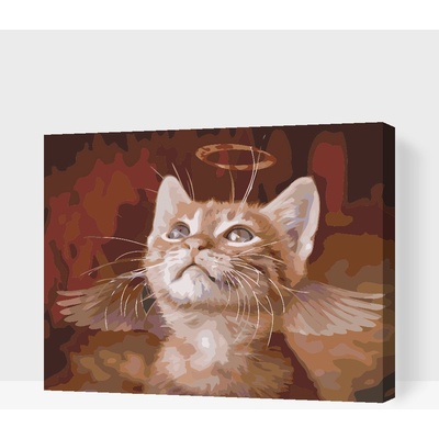 Vymalujsisam.cz Malování podle čísel Andělská kočka Velikost 40 x 60 cm Rámování Na kartonové desce