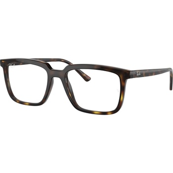 Ray-Ban RX7239 2012