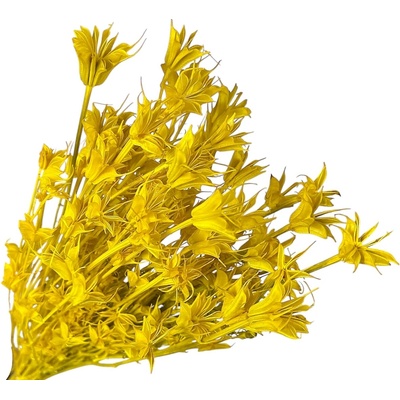 Sušené kvety Černuška - Nigella orientalis 80g - žlté